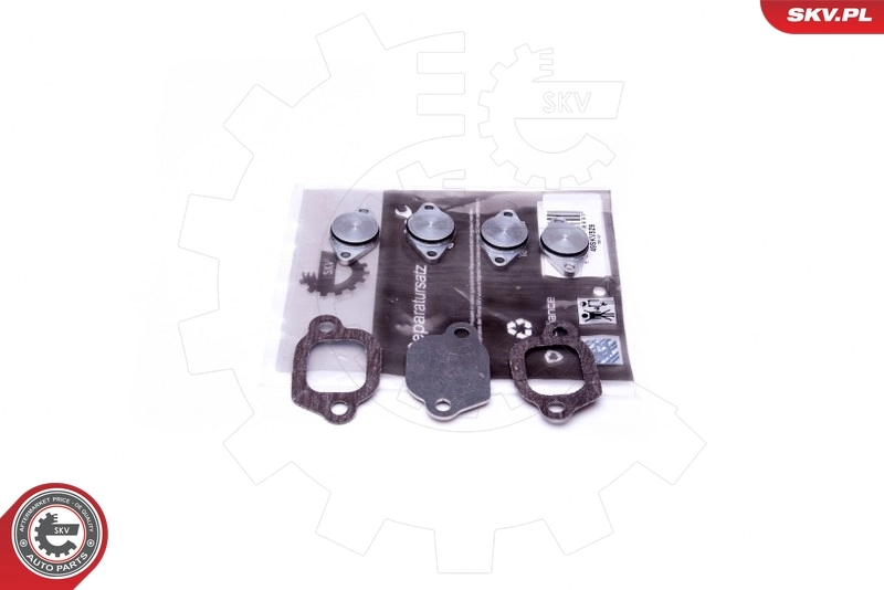 Repair Kit, intake manifold module
